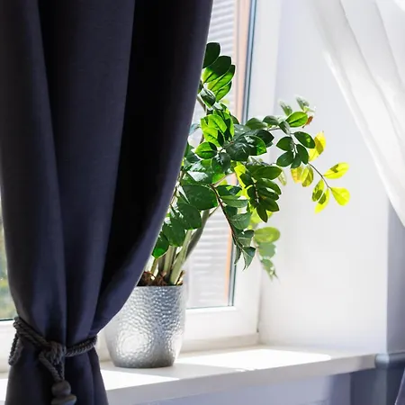 アパートホテル Malila Premium Sebastiana 20 Old Town